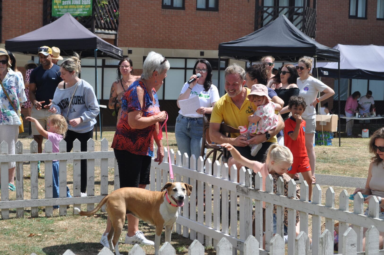 oldislefest-dogshow-hero