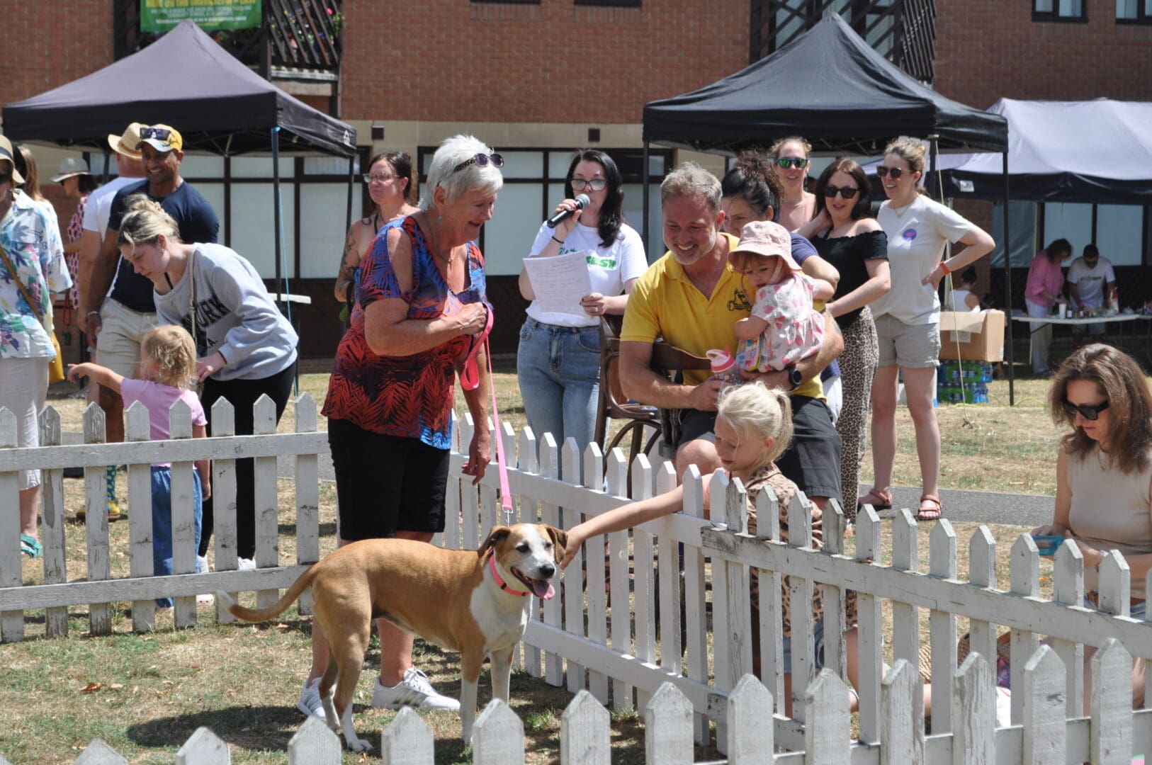 oldislefest-2025-dogshow
