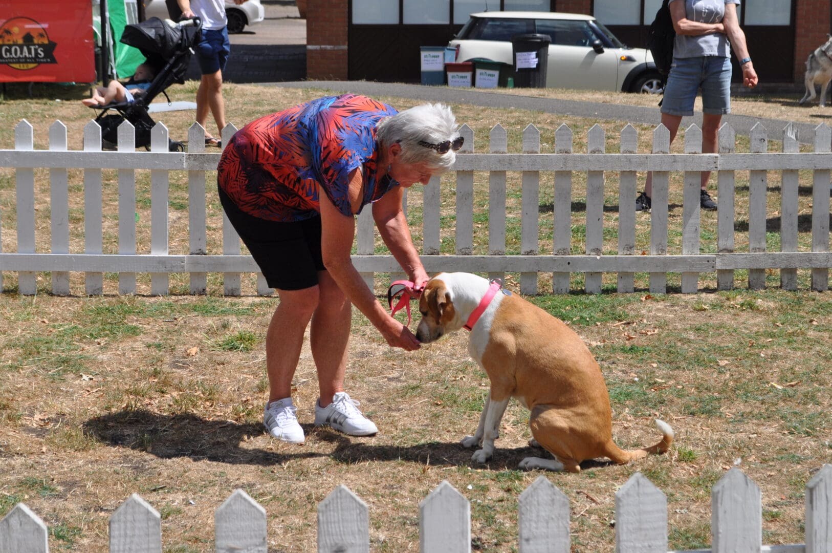 oldislefest-2025-dogshow-2